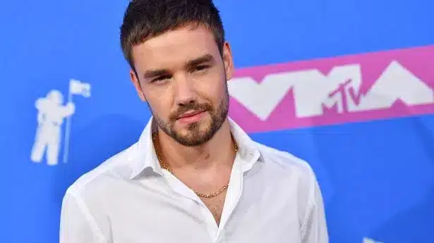 Ποιός ηταν ο Liam Payne; Πως πέθανε; μητρική γλώσσα Liam Payne (Αγγλικά) Ψευδώνυμο Payno, Lee, Leeyum Γέννηση 29 Αυγούστου 1993[1]