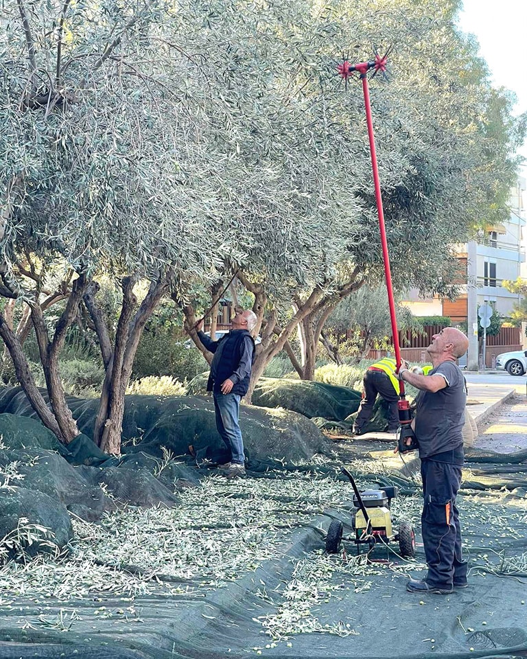 Γλυφάδα