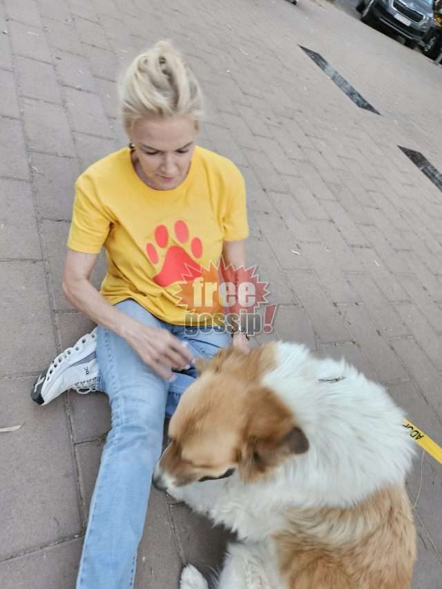 ΣΠΑΖ! Οι φιλόζωοι Γλυφάδας φροντίζουν τα αδέσποτα που θα κάνετε συγκάτοικους σας