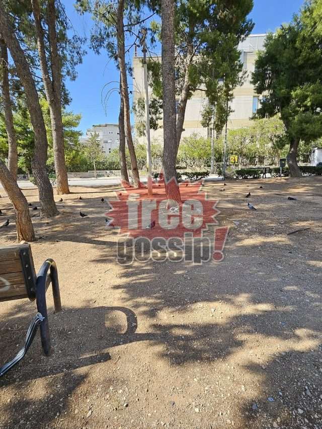 Άνω Γλυφάδα πάρκα! Ανακαλύψαμε μικρές οάσεις στην έρημο του τσιμέντου!