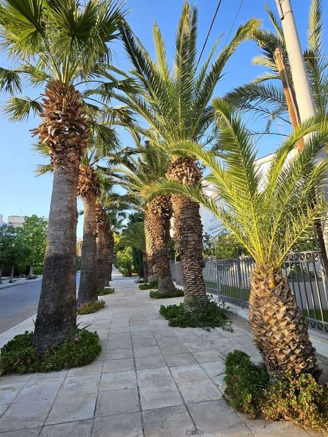 Γλυφάδα! Το L.A. της Ελλάδας!