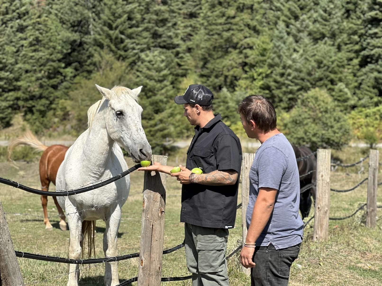 Ο Άκης Πετρετζίκης ταξιδεύει σε Ελλάδα και Ευρώπη 3 1 1 1