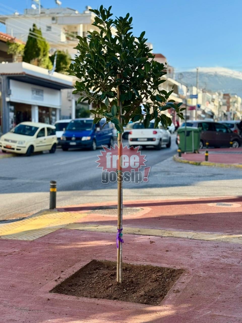 Δήμος Ελληνικού Αργυρούπολης